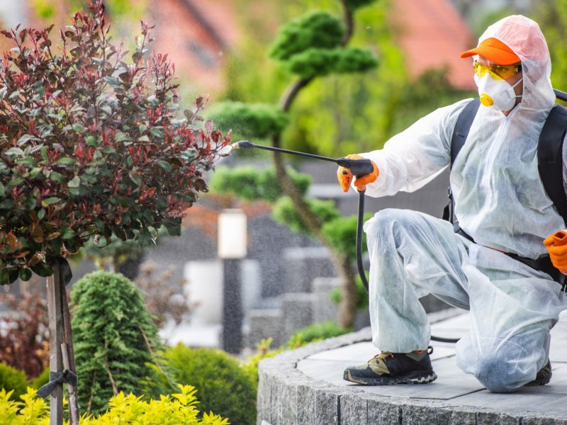 Mordoğan Haşere İlaçlama